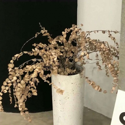 兽设动态姿势绘画参考兽圈社群